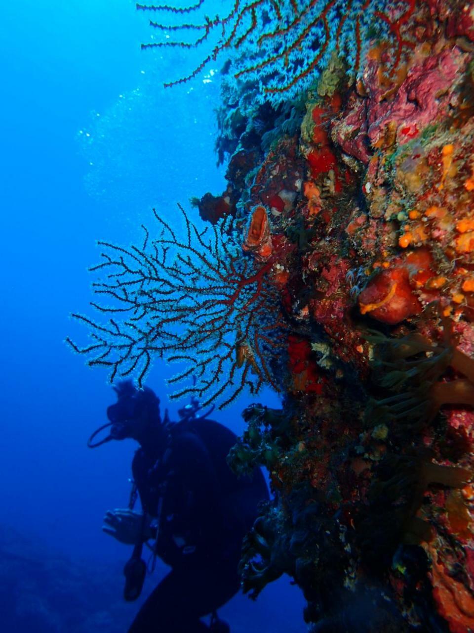 Qing Feng Diving B&B Lục Đảo Ngoại thất bức ảnh