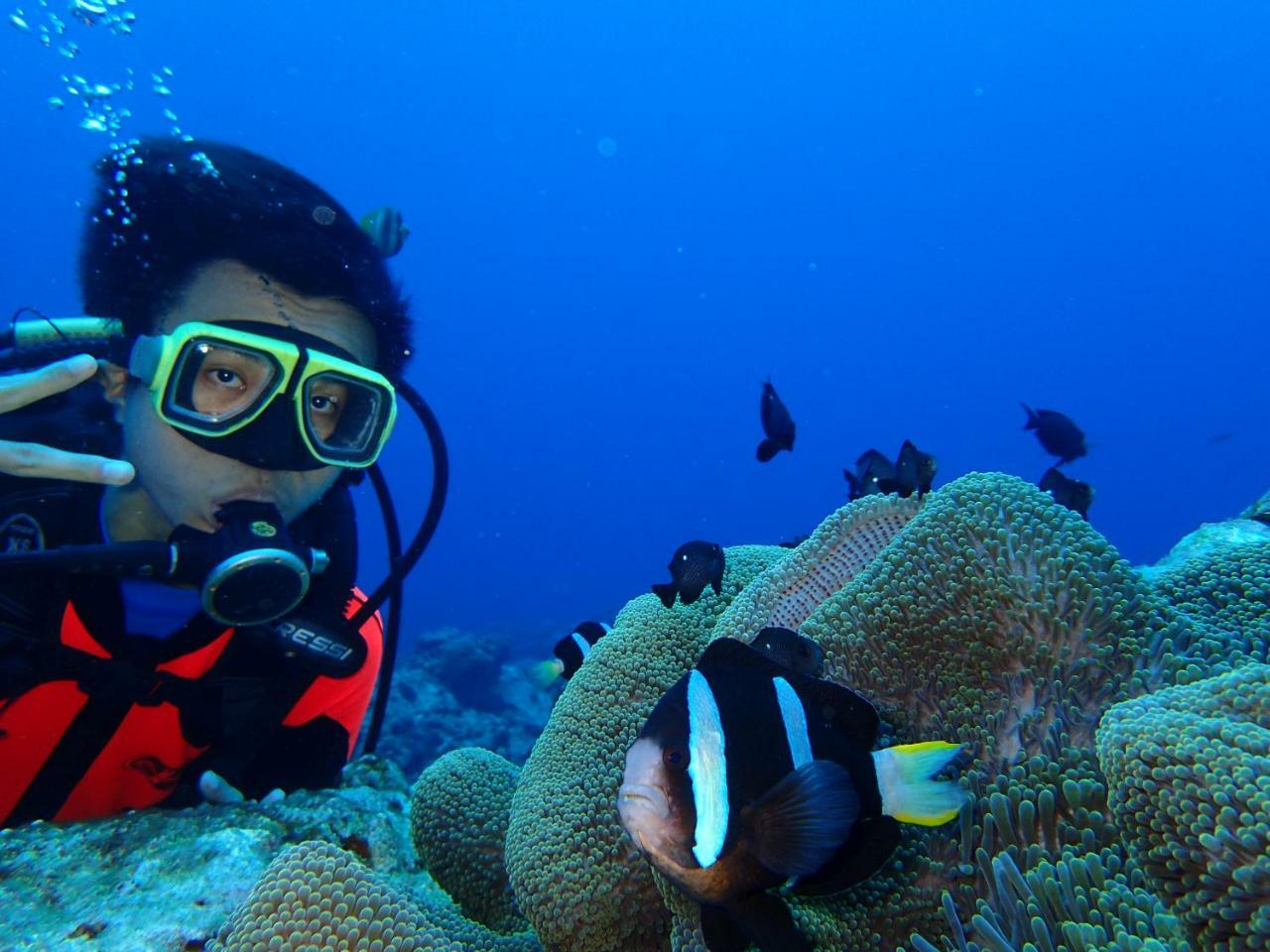 Qing Feng Diving B&B Lục Đảo Ngoại thất bức ảnh