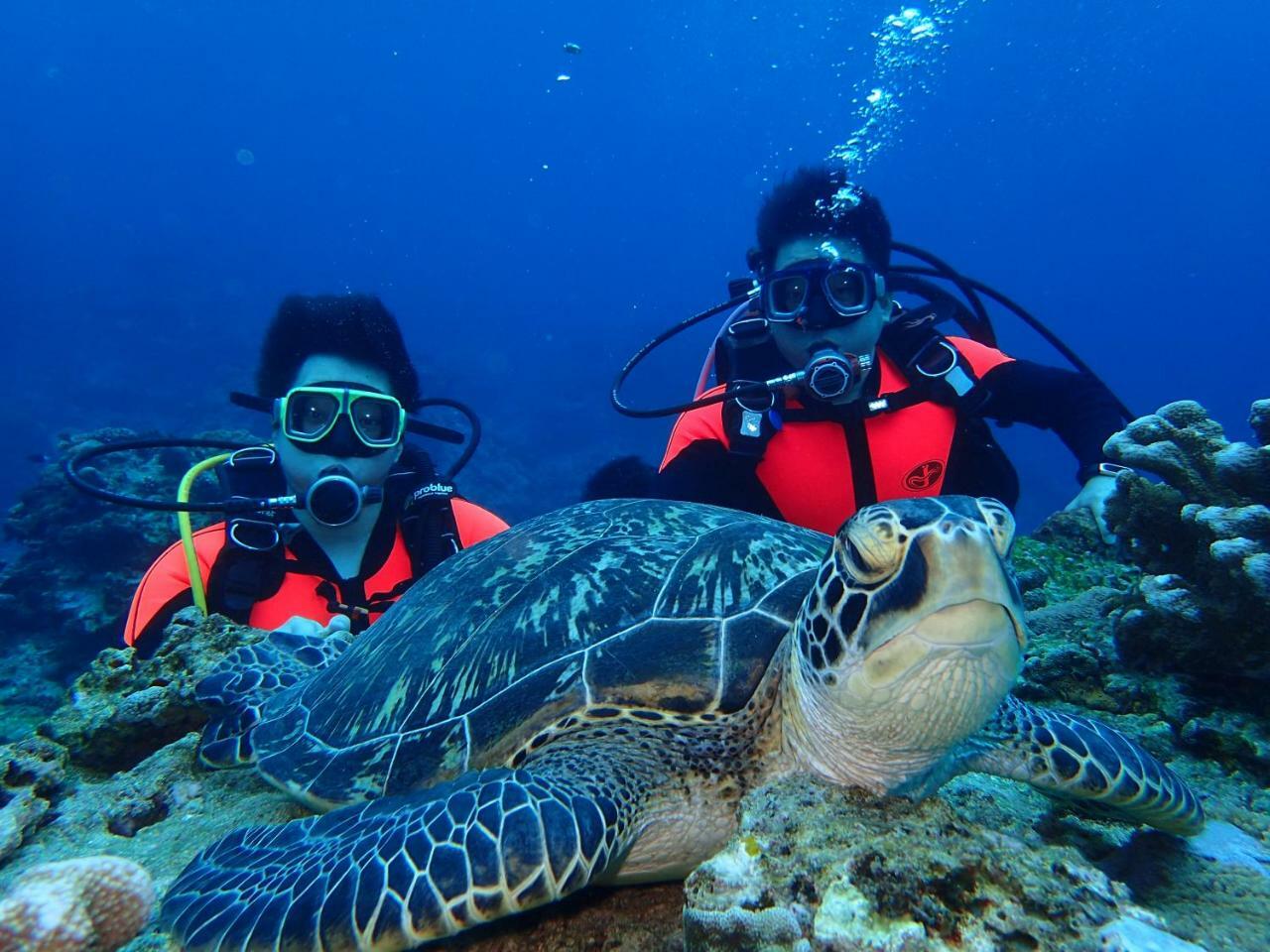Qing Feng Diving B&B Lục Đảo Ngoại thất bức ảnh