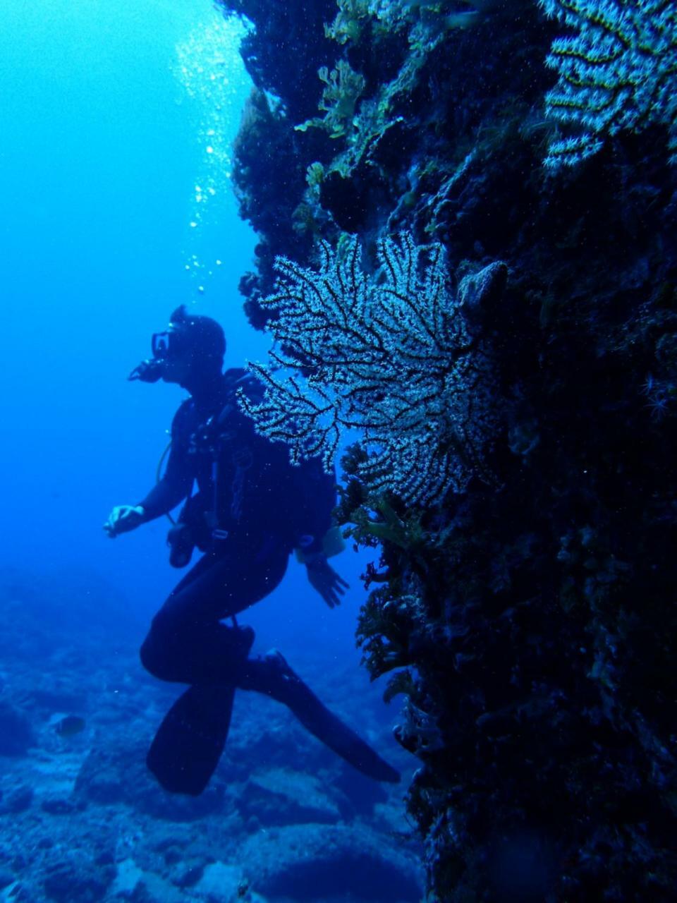 Qing Feng Diving B&B Lục Đảo Ngoại thất bức ảnh